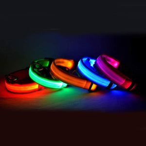 Nylon LED Pet Dog Luminous Collar | Night Safety Flashing Glow in the Dark Adjustable Dog & Cat Collar with Leash